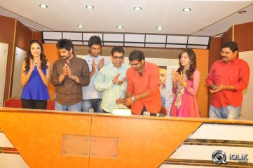 Prema Ishq Kaadhal Success Meet